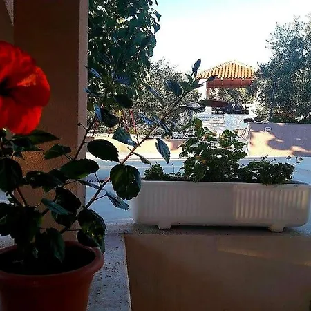 Apartment Marina,bikic