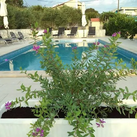 Apartment Marina,bikic